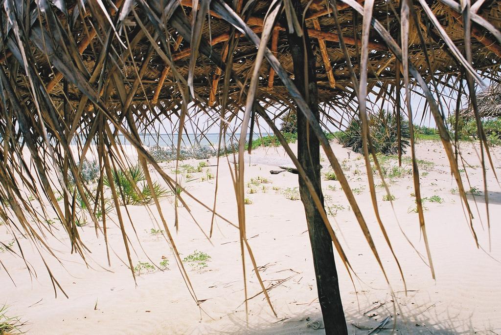 Kizingo Vila Lamu Exterior foto